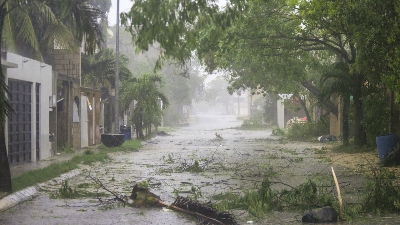 Vegetation covers a street during the pass of Hurricane Beryl in Tulum, Mexico, Friday, July 5, 2024. (AP Photo/Fernando Llano)