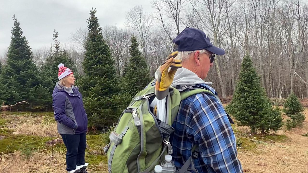 hudson valley tree farm