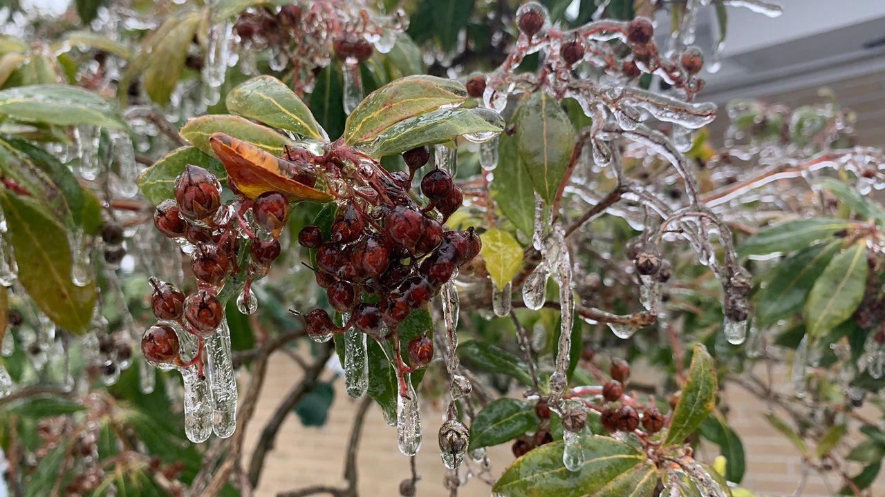 Hudson Valley Winter Storm Ice Danger