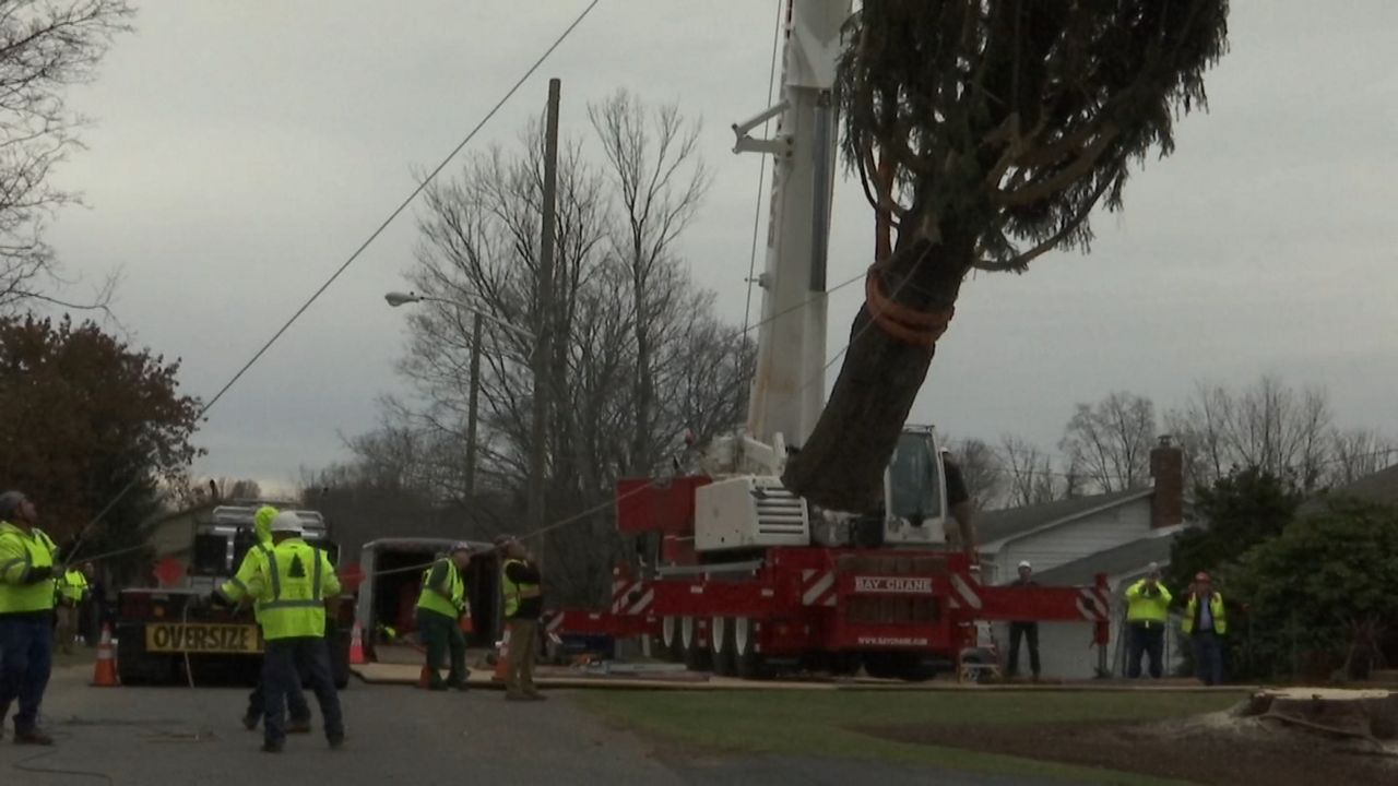 Cortan el arbol de Navidad para el Rockefeller Center; comenzo su trayecto  a Manhattan, image size:1280x720