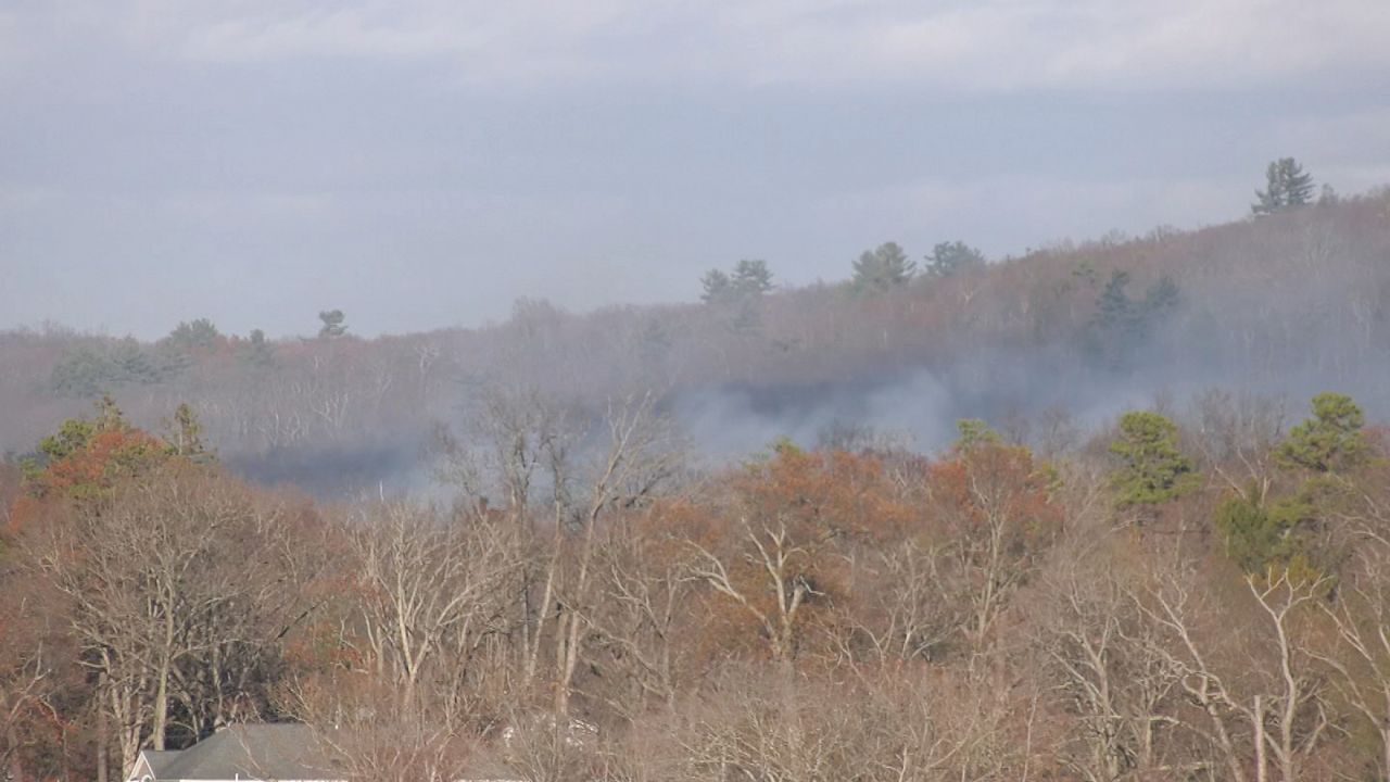 wildfire smoke seen behind hudson valley treeline during day