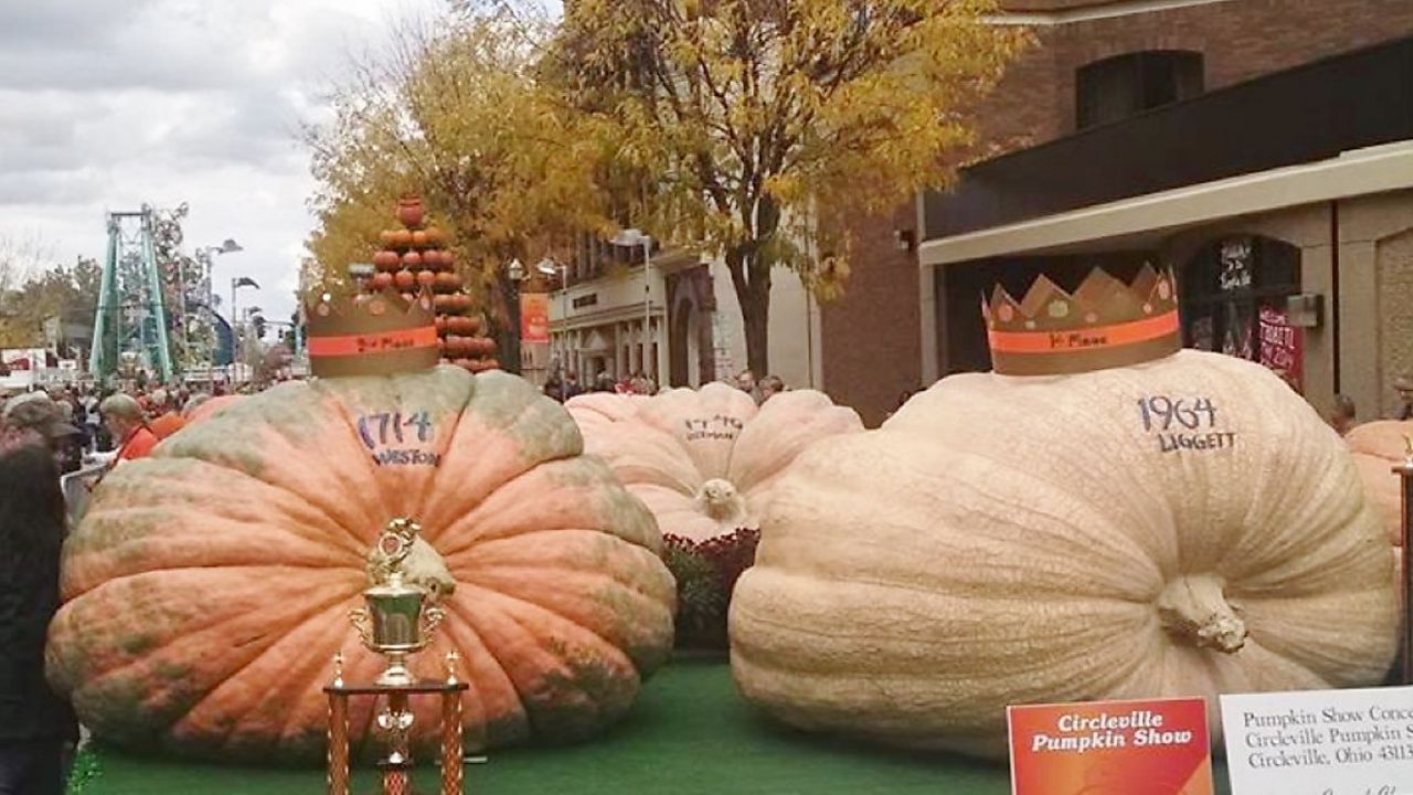 A pumpkin big enough to ride to the ball