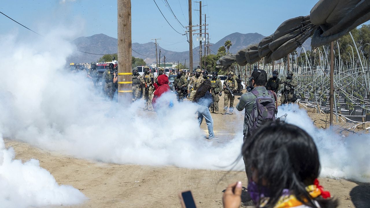 Federal immigration agents toss tear gas at protesters during a raid in the agriculture area of Camarillo, Calif., Thursday, July 10, 2025. (AP Photo/Michael Owen Baker)