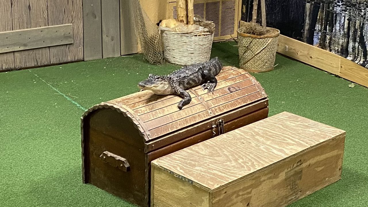 https://s7d2.scene7.com/is/image/TWCNews/image%20Cropped