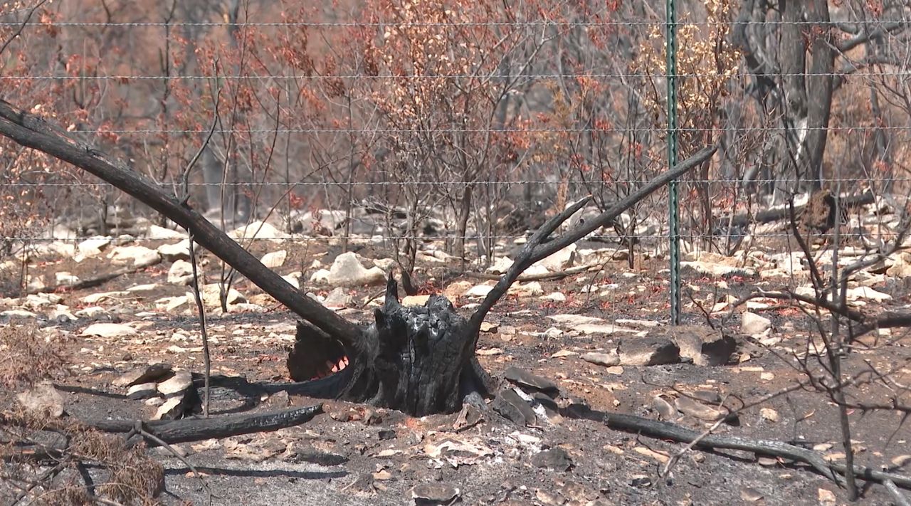 Wildfires continue to burn across Texas as Ross Fire reaches 100% containment