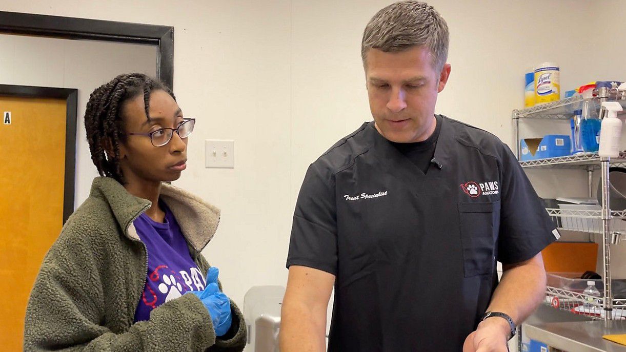 Work opportunities for autism community