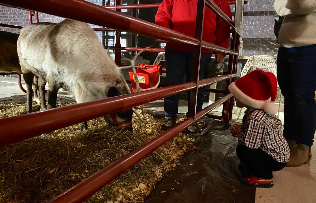 A child greets a reindeer at Cincinnati's Ronald McDonald House during a Christmas celebration. (Spectrum News/Casey Weldon)