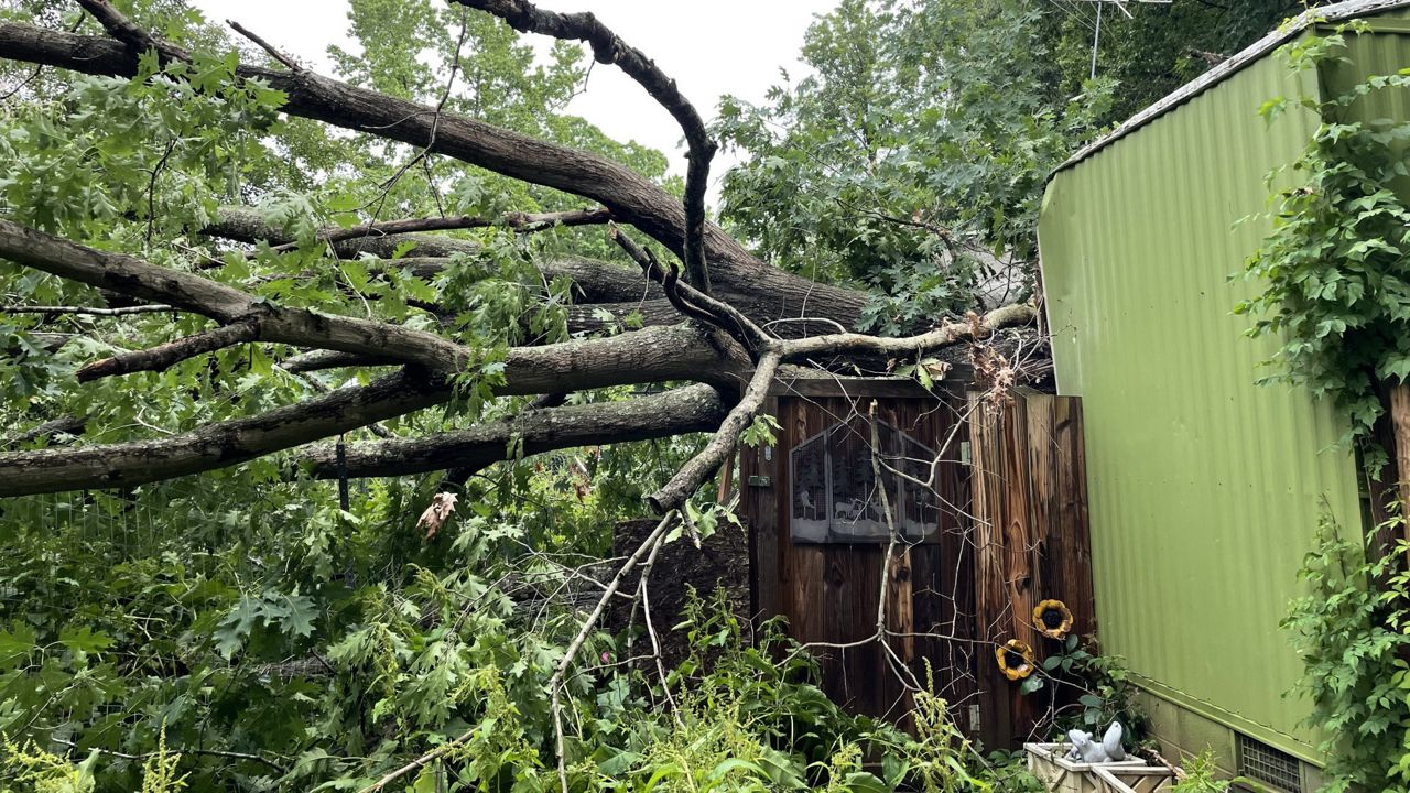 Tree topples across a mobile home in Kernesville