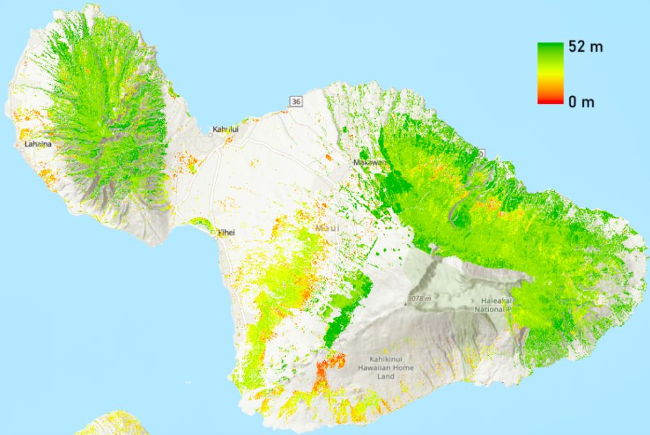 The 30-meter resolution forest height map covers the mountainous areas in Maui. (Map courtesy of UH)