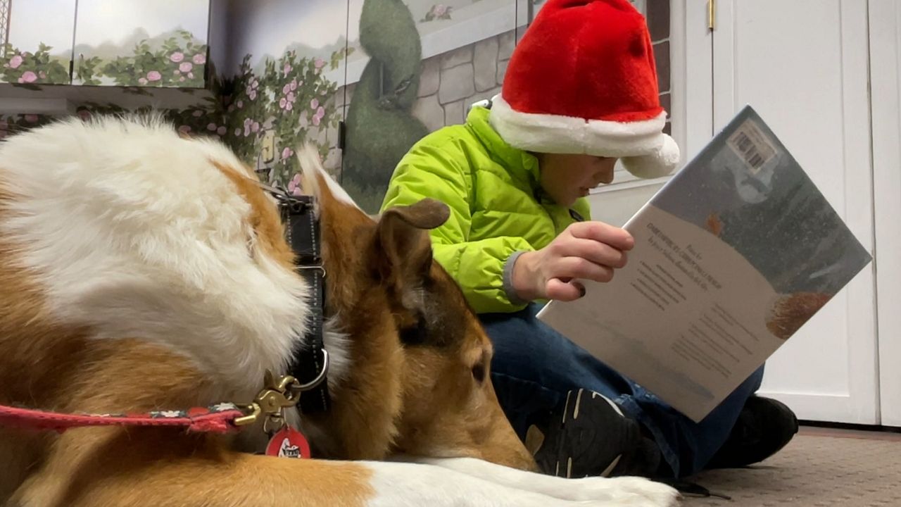 Boy reads to dog in library