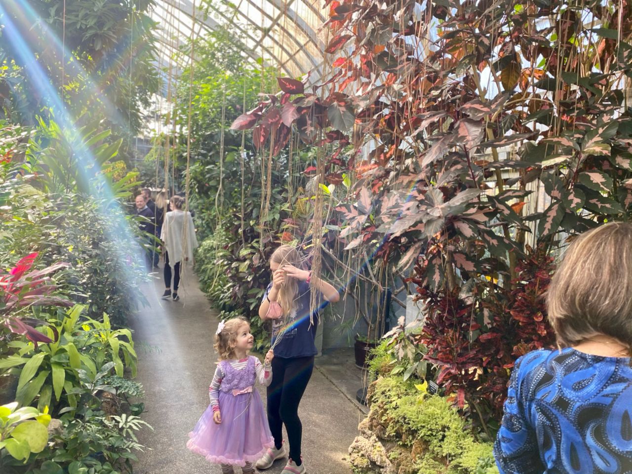 Guests wander throughout Krohn Conservatory checking out the various year-round and seasonal plants (Spectrum News/Casey Weldon)