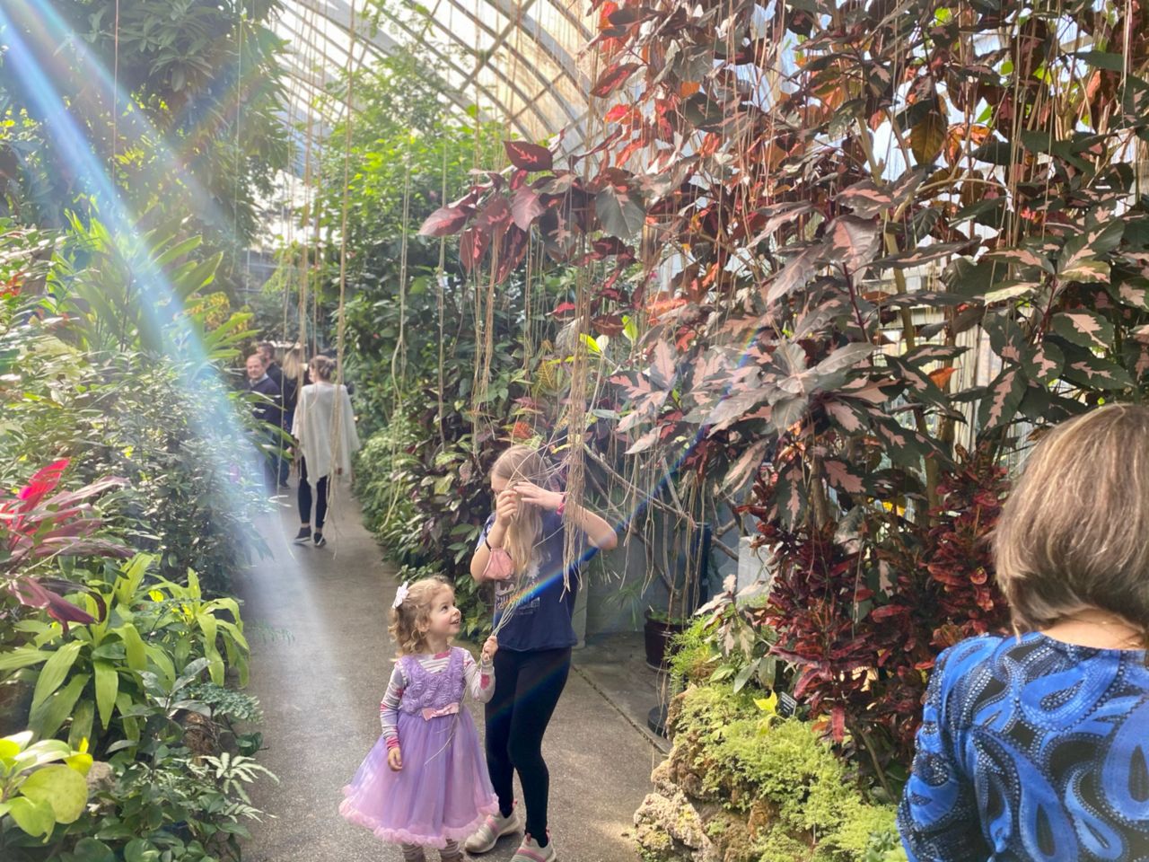Krohn Conservatory comes to life for holiday season