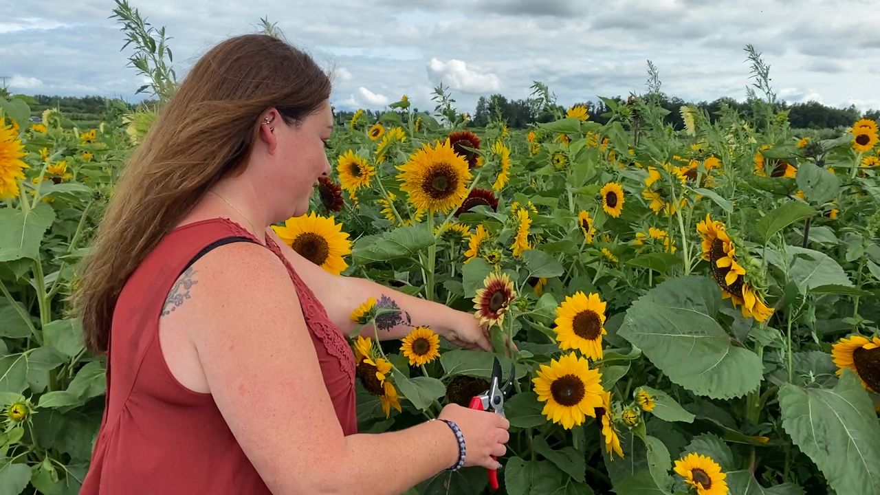 Ohio farm creates a century's worth of family memories - Vimarsana News