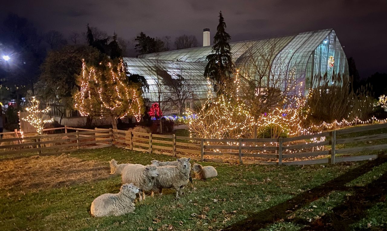 A live nativity scene is set up outside Krohn Conservatory, in Eden Park, for the weeks leading up to Christmas (Spectrum News/Casey Weldon)