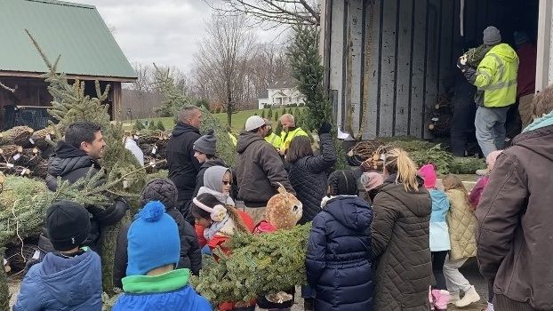 Unloading Christmas trees.