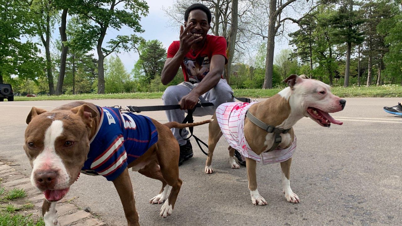 Buffalo Bills - The coolest dog in town. We're biased, but a Tyrod