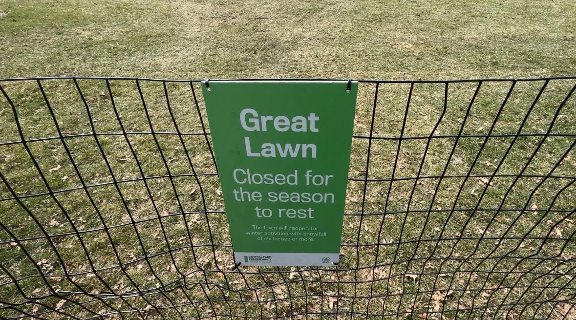 How the lawns of Central Park are maintained