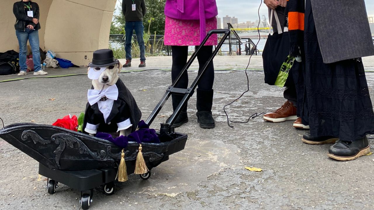 The 31st annual Tompkins Square Halloween dog parade, Art and design