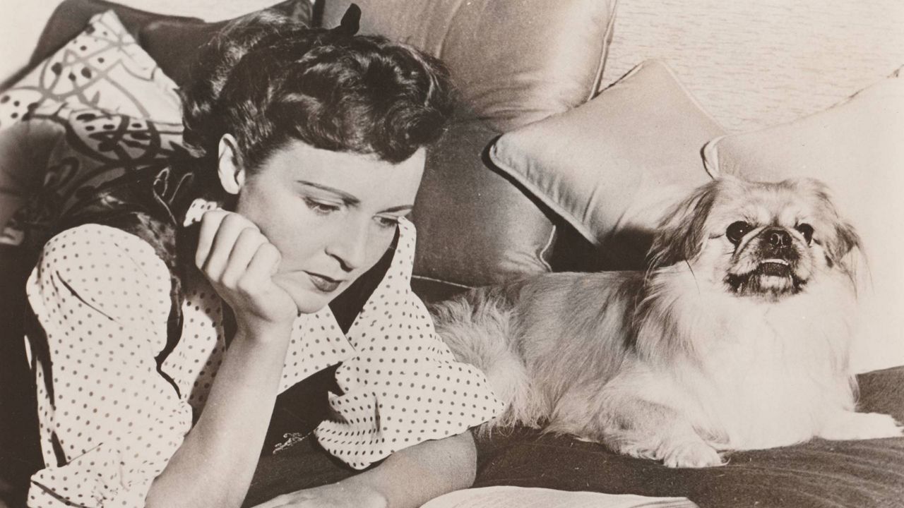 Betty White’s love for animals runs deep in LA