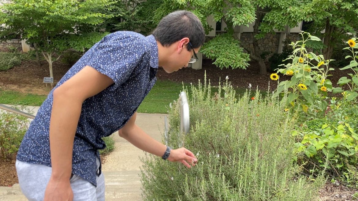 UNCA student Albert Chow observes the plants in the Ancient Gardens