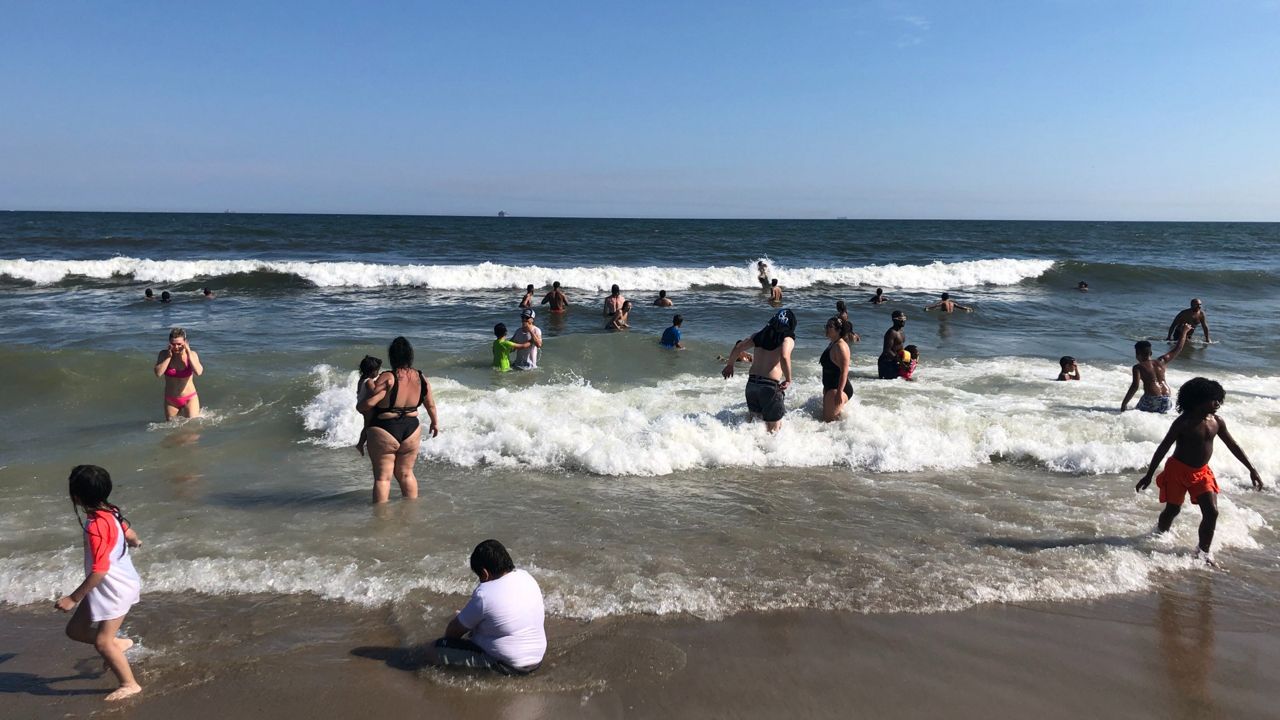 Rockaway Beach reopens after shark sightings