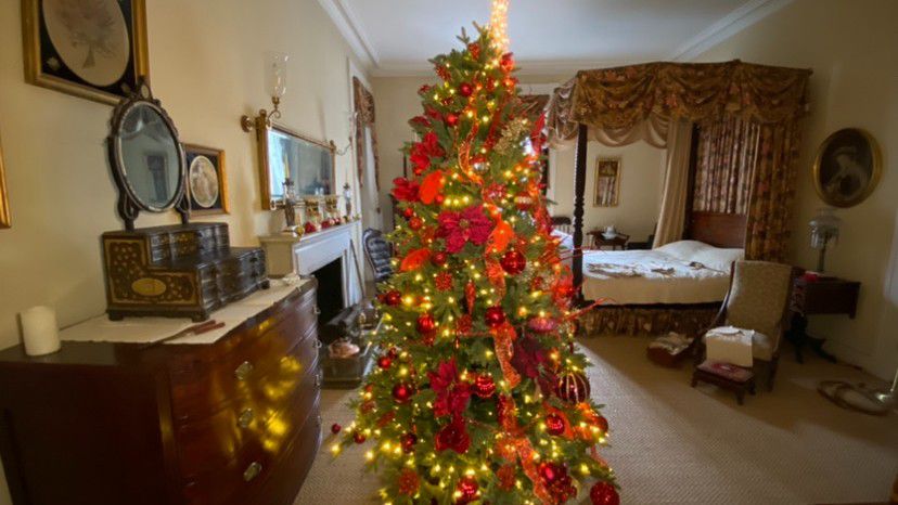 Bartow Pell Christmas Trees 2022 Holiday Happenings At A Hidden Gem In The Bronx