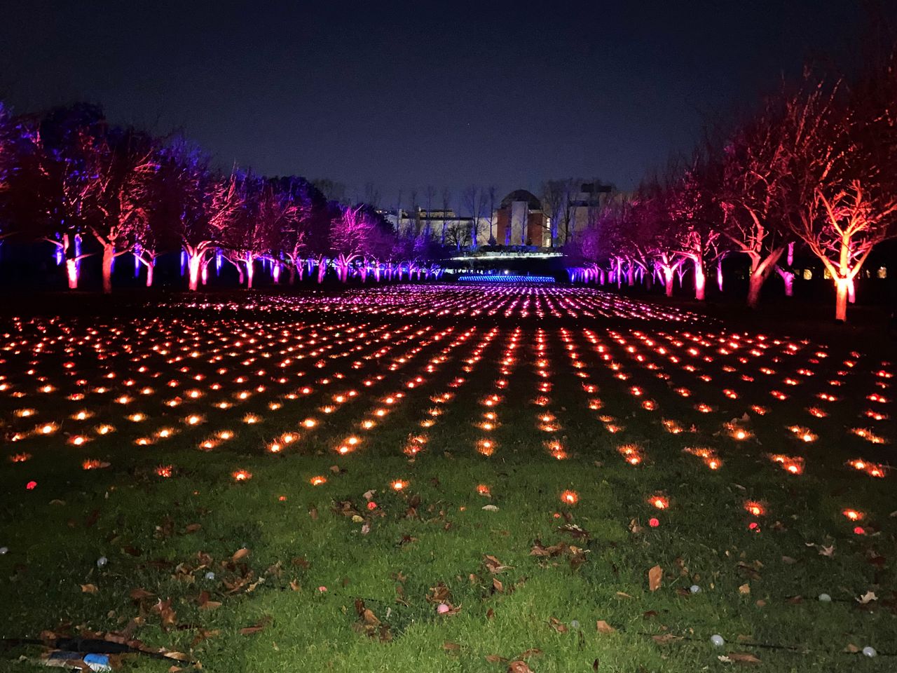 'Lightscape' brightens holidays at Brooklyn Botanic Garden