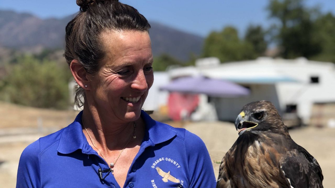 Home - ORANGE COUNTY BIRD OF PREY CENTER