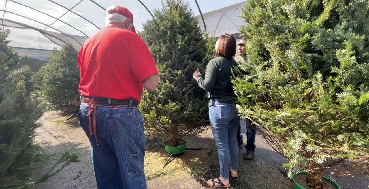 Florida on a Tankful: Ring in the holiday season at Ergle's Christmas ...