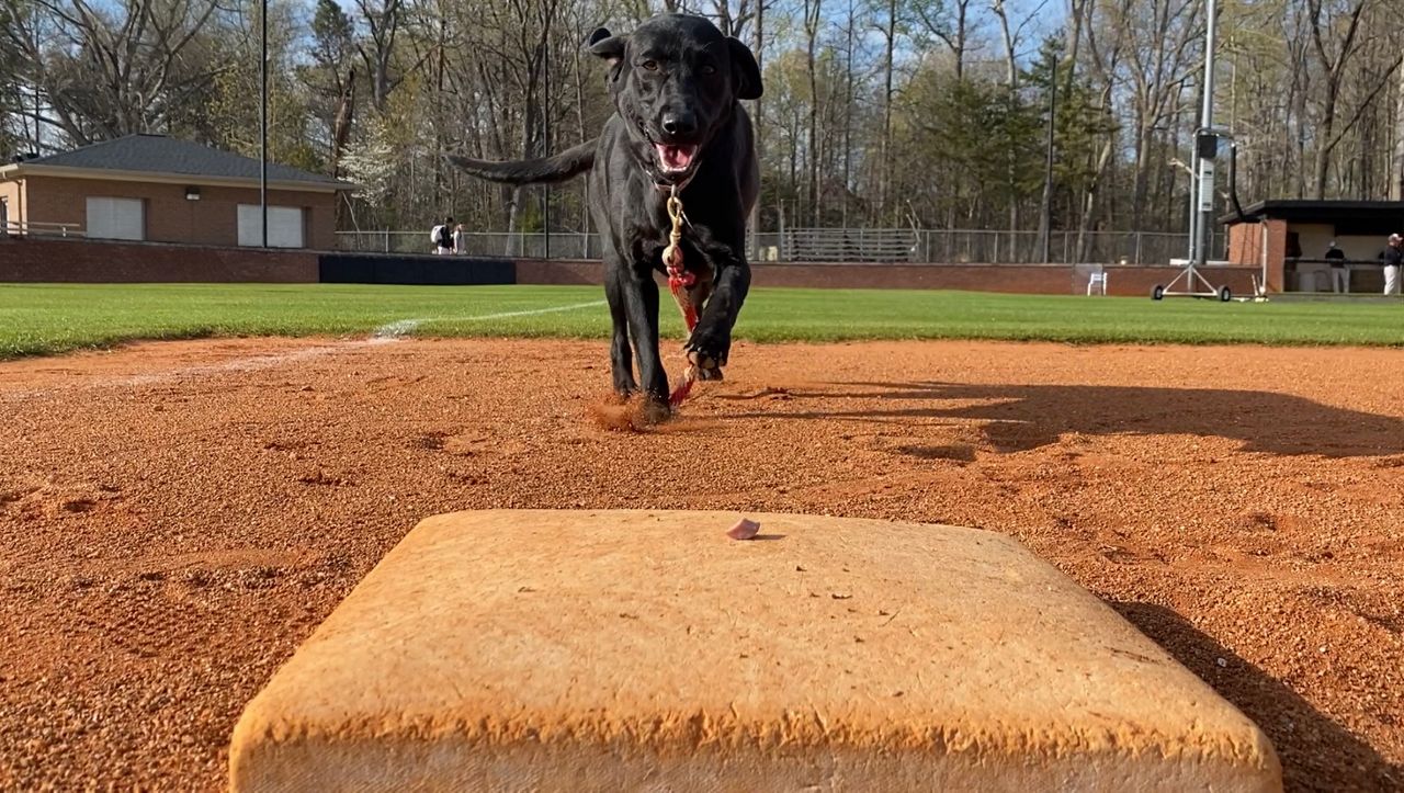 Greensboro Grasshoppers on X: #HoppersInTheMajors: Remember when