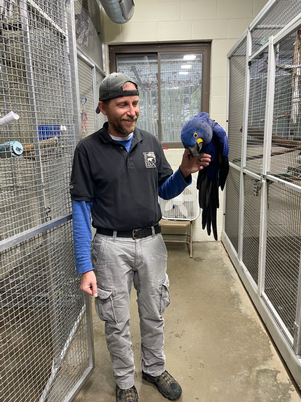 Zoologijos sodo darbuotojas Eddie Annal liks zoologijos sode rūpintis hiacinto ara Rico ir kitais jo apylinkėse esančiais paukščiais.  (Jeigu)