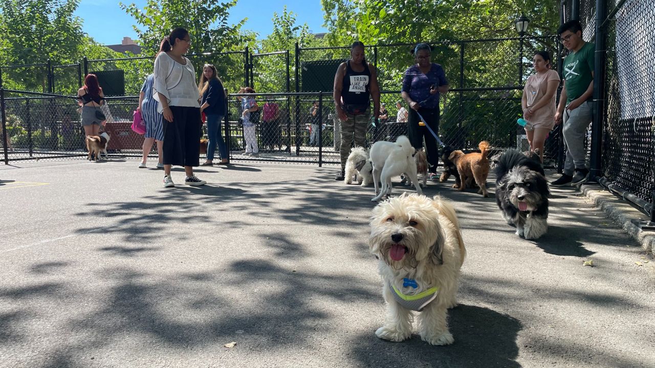 jackson heights dog park