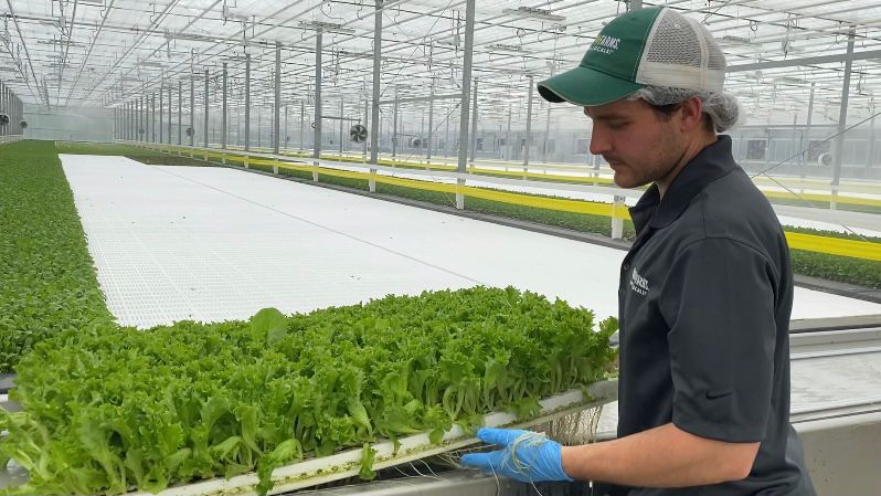 New farm looks to bring fresher produce to NC grocery stores