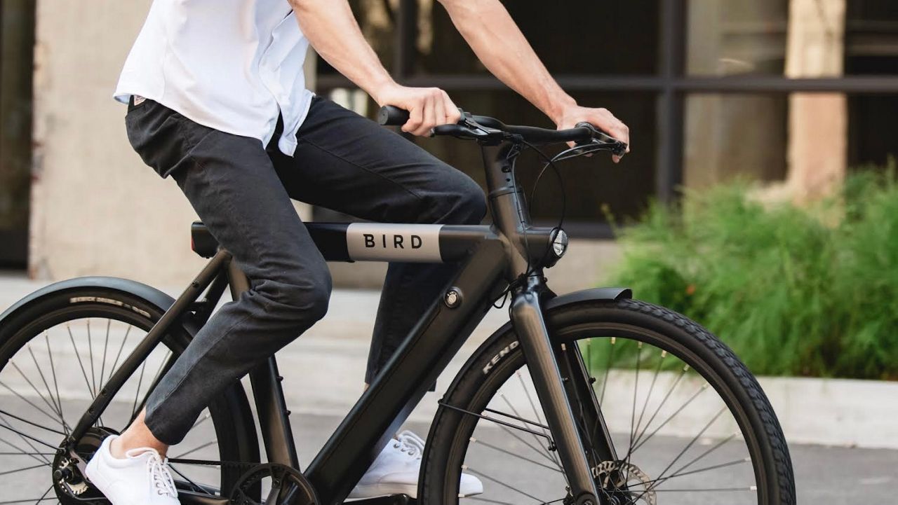 The store bird bike