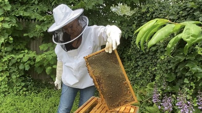 saint abigail of beekeeping