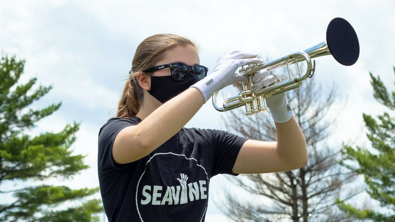 Seavine face mask and bell covering