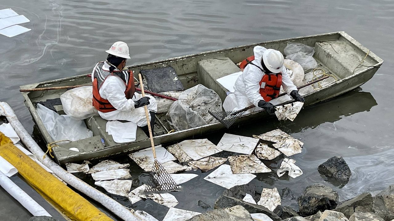 Workers in protective suits clean oil at the Talbert Marsh in Huntington Beach, Calif., on Wednesday, Oct. 6, 2021. (Spectrum News/Paco Ramos-Moreno)