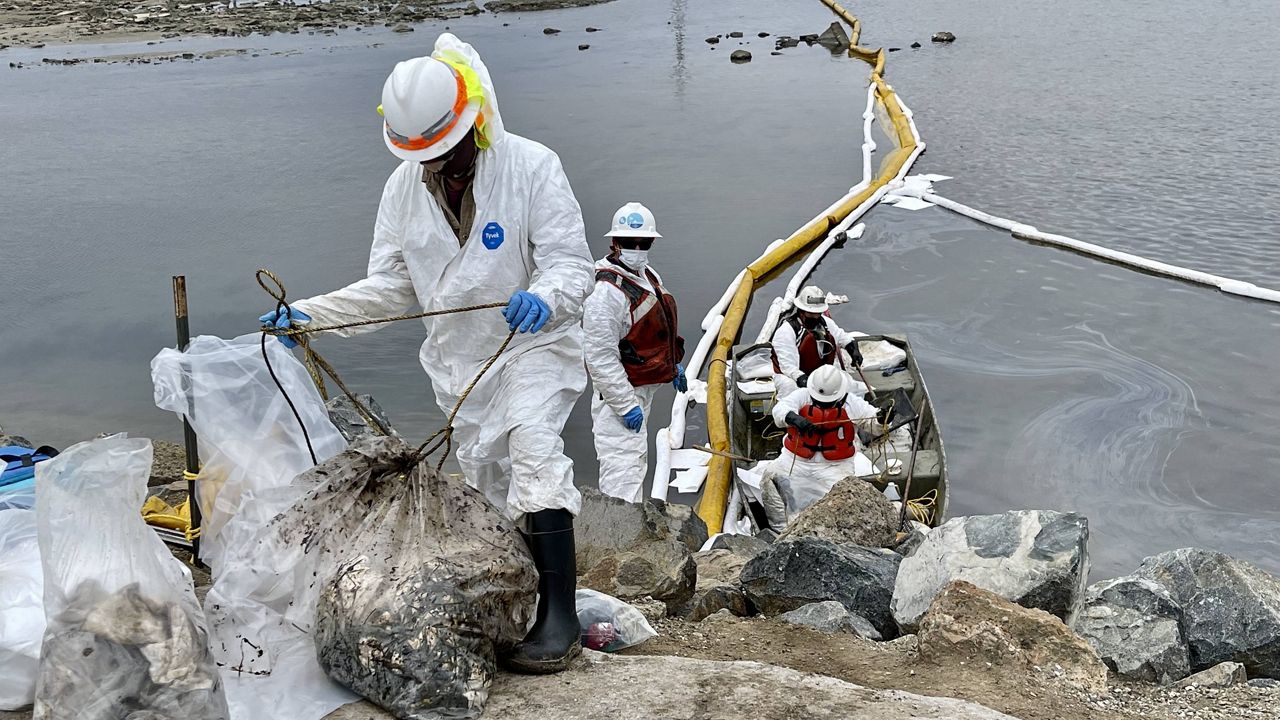 In this Oct. 6, 2021, file photo, workers in protective suits clean oil at the Talbert Marsh in Huntington Beach, Calif. (Spectrum News/Paco Ramos-Moreno)