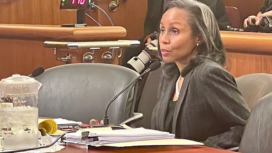 Acting Chief Administrative Judge Tamiko Amaker was first to testify Tuesday to state senators and assemblymembers as part of the annual budget hearing on public protection.