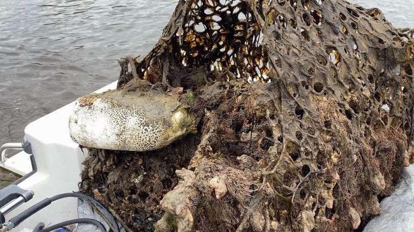 NC Lost Fishing Gear Recovery Effort Continues in Onslow