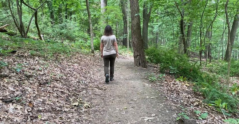It's important to stay aware when walking through wooded-areas during bear breeding season 