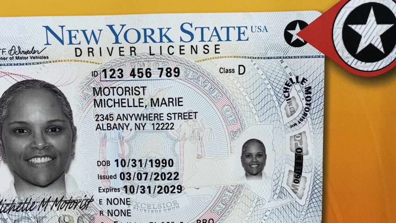 new york license 2022