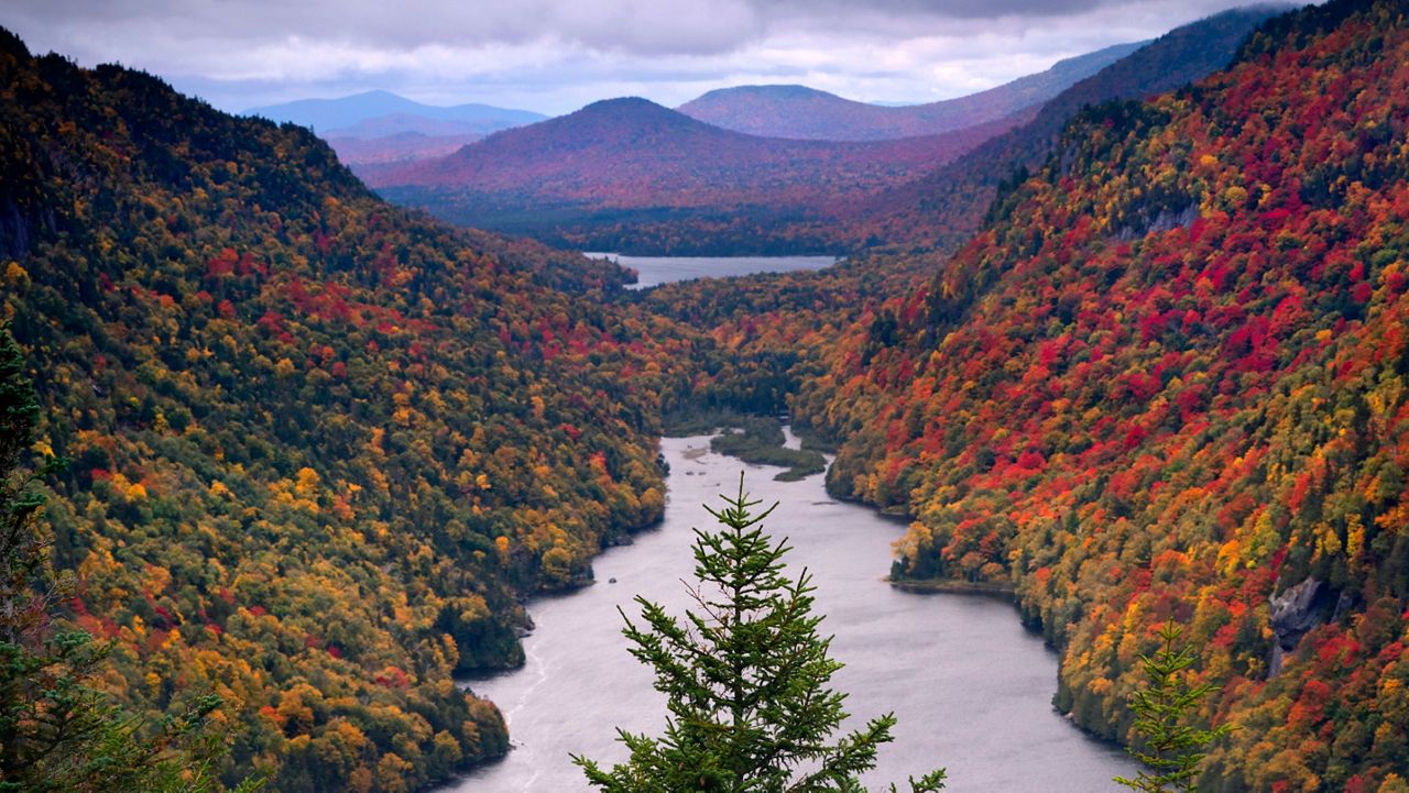 Fall in the Adirondacks - Southern Curls & Pearls