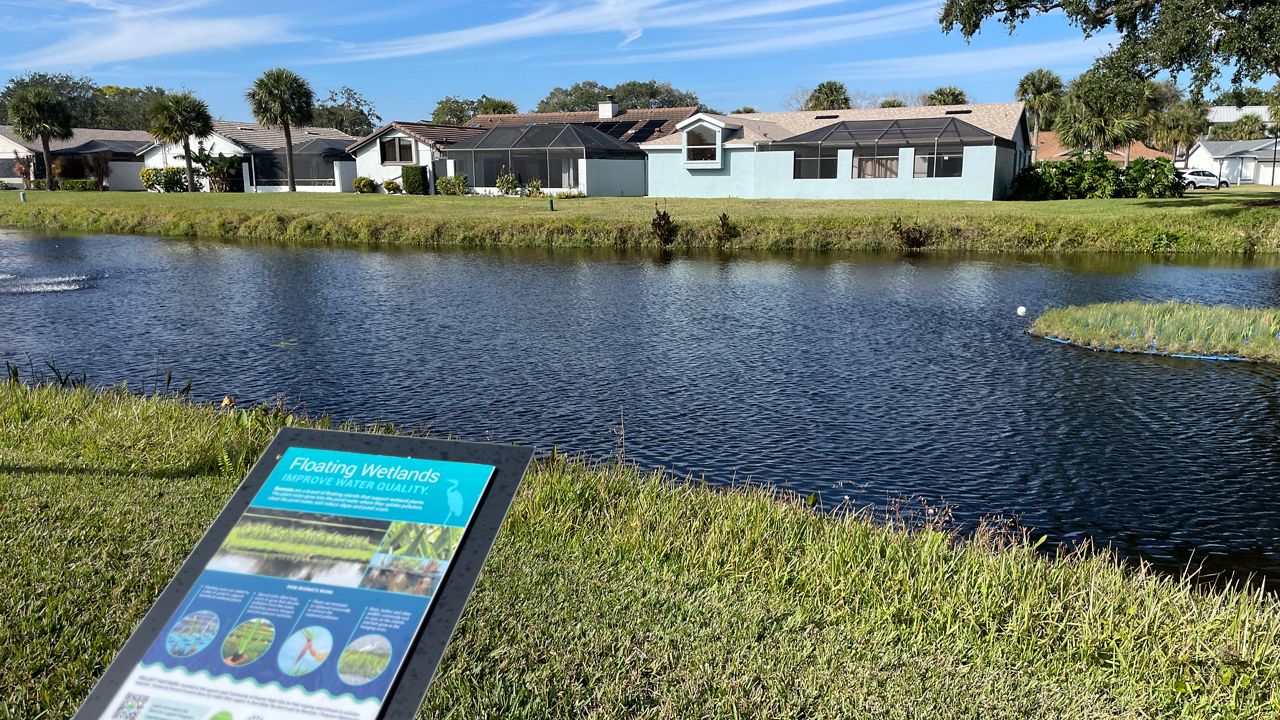 Brevard lagoon restoration projects mark milestone