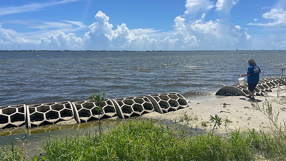 Kara Woods of the Marine Resources Council tests the water in Palm Bay. (Spectrum News)