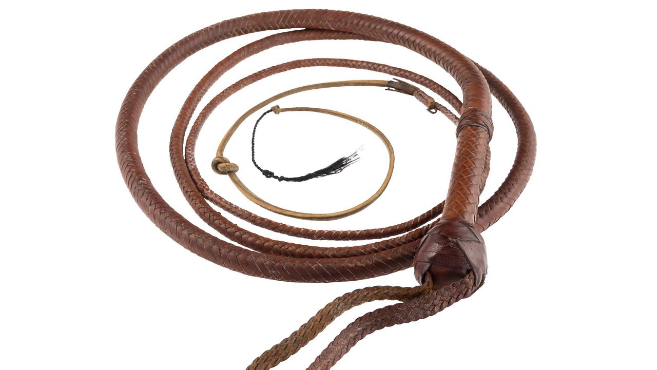 This image shows a whip wielded by Harrison Ford in 
