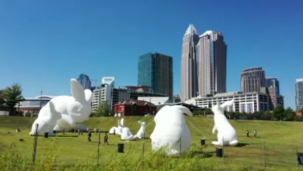 Giant inflatable bunnies have taken over uptown Charlotte.