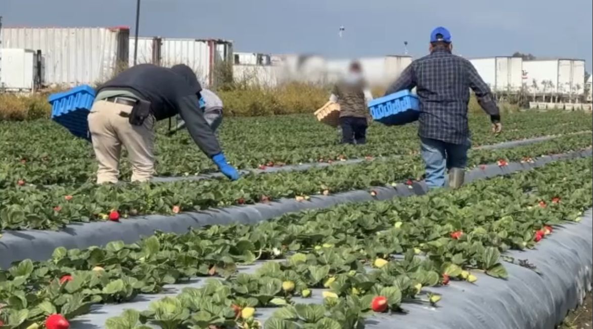 Gob California. Inmigración. Salud.