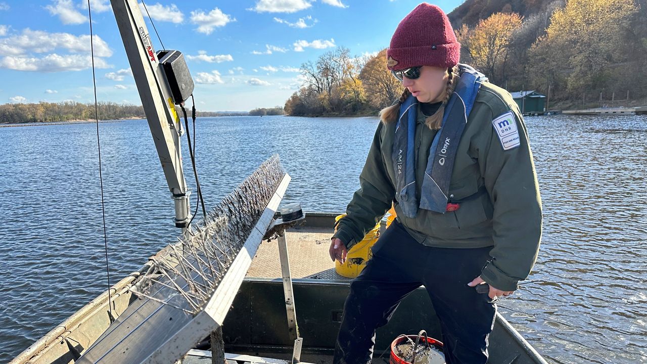 Missed Connections: Walleye Struggle with Changes to the Timing of Spring  Thaw – Water Blogged – UW–Madison