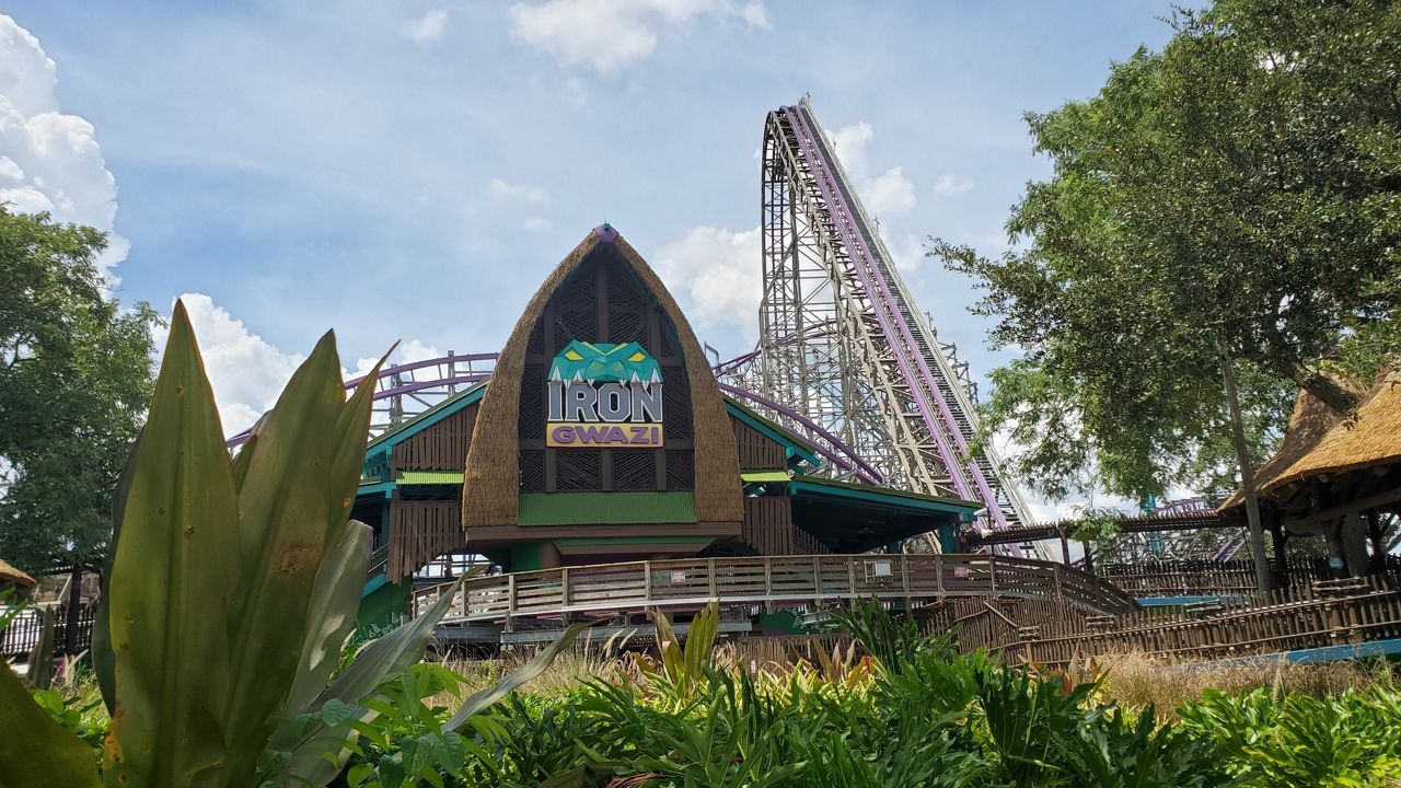 Busch Gardens Tampa announced Monday that its newest ride Iron Gwazi will open at the theme park in March 2022. (Ashley Carter/Spectrum News)